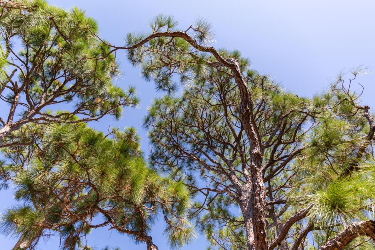 Home By Beach 5 - The Treehouse North North Naples エクステリア 写真