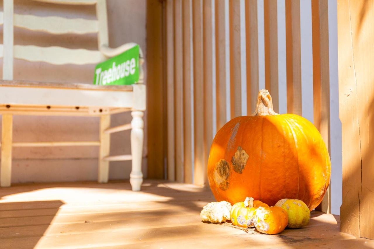 Home By Beach 5 - The Treehouse North North Naples エクステリア 写真
